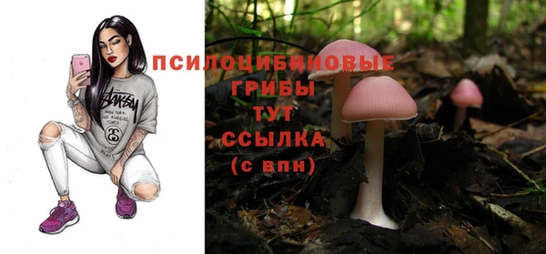 ALPHA-PVP Белокуриха