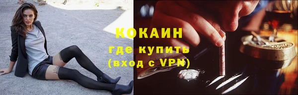 мдпв Богородск