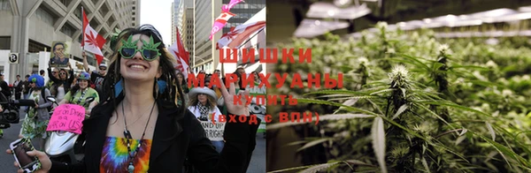 ALPHA-PVP Белокуриха