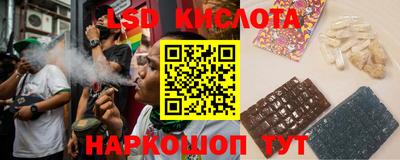 шишки Аргун