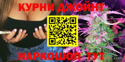 шишки Аргун