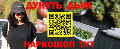 шишки Аргун