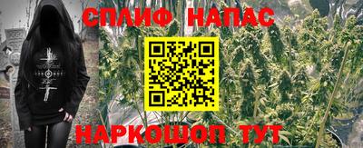 шишки Аргун