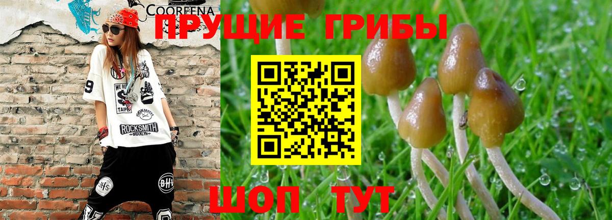 Галлюциногенные грибы GOLDEN TEACHER Бугульма