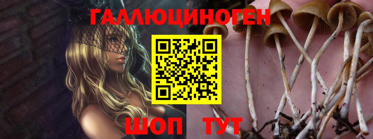 Галлюциногенные грибы мухоморы  Бугульма 